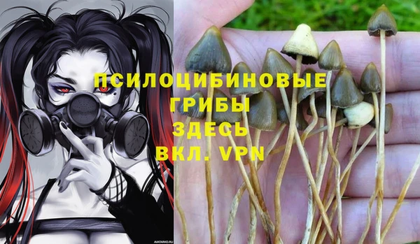 дурь Абаза