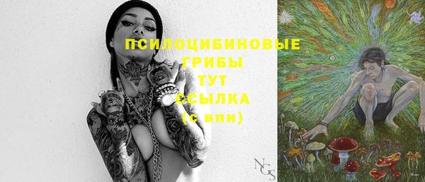 дурь Абаза
