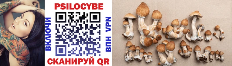 даркнет Telegram  Юрюзань  Псилоцибиновые грибы GOLDEN TEACHER 